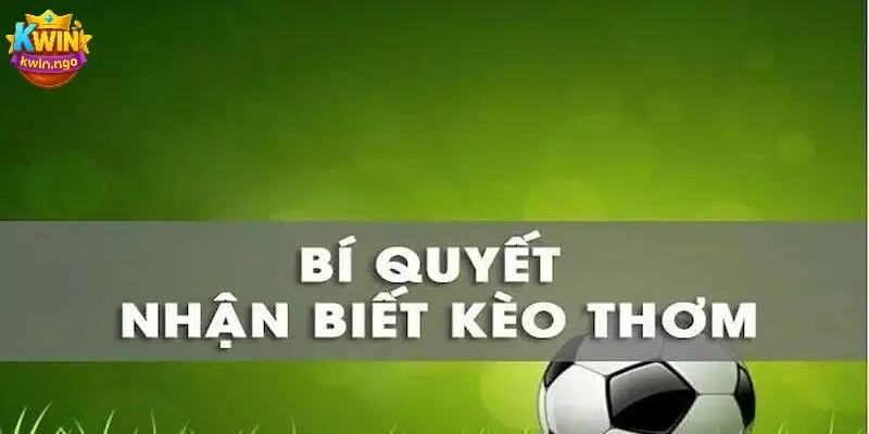 Bật mí cách nhận diện kèo thơm – Không dành cho người mộng mơ